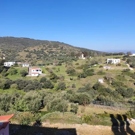 Elvina * Karavás